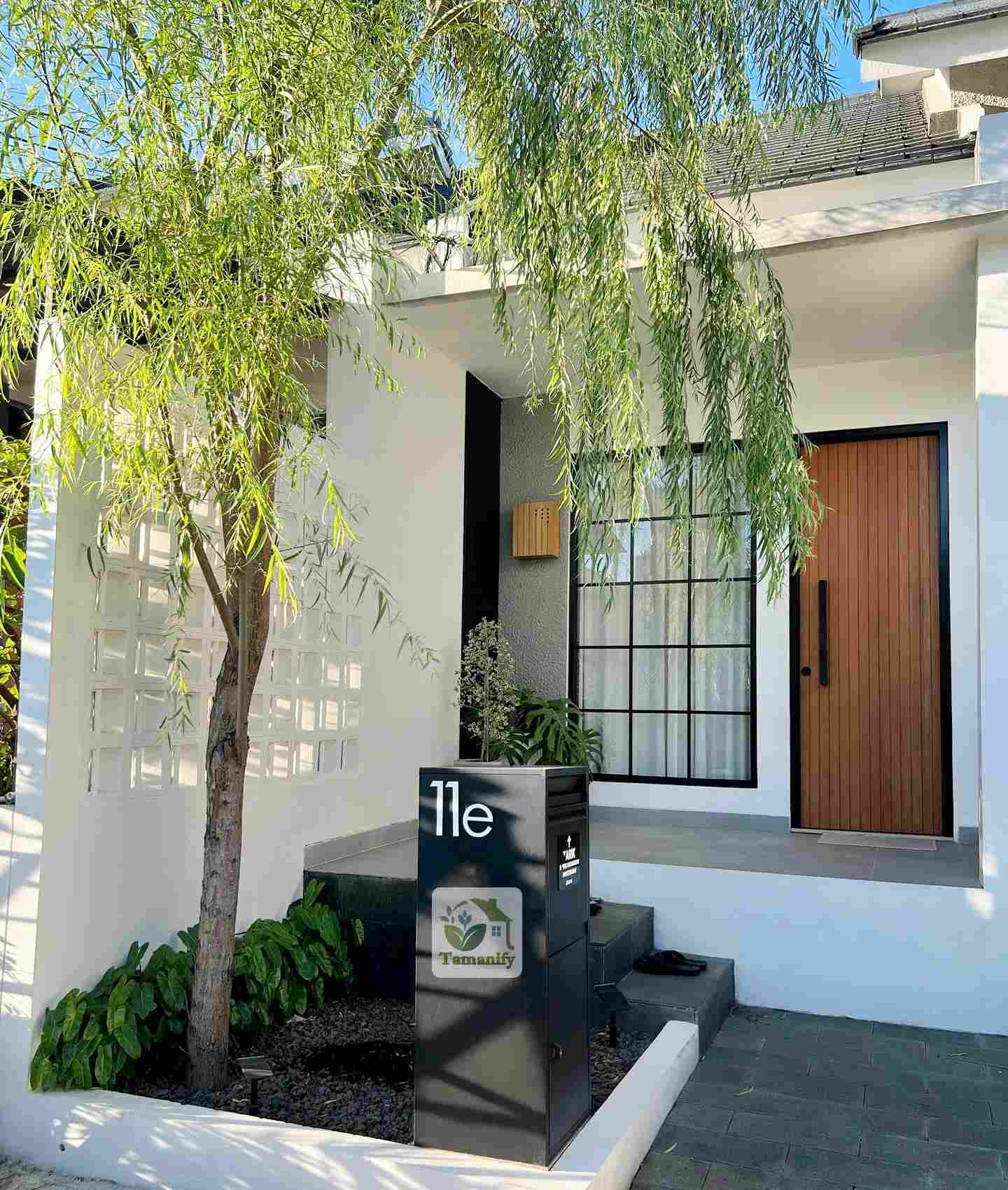 Read more about the article Jual Pohon Liang Liu Tasikmalaya #1 Tanaman Peneduh Halaman