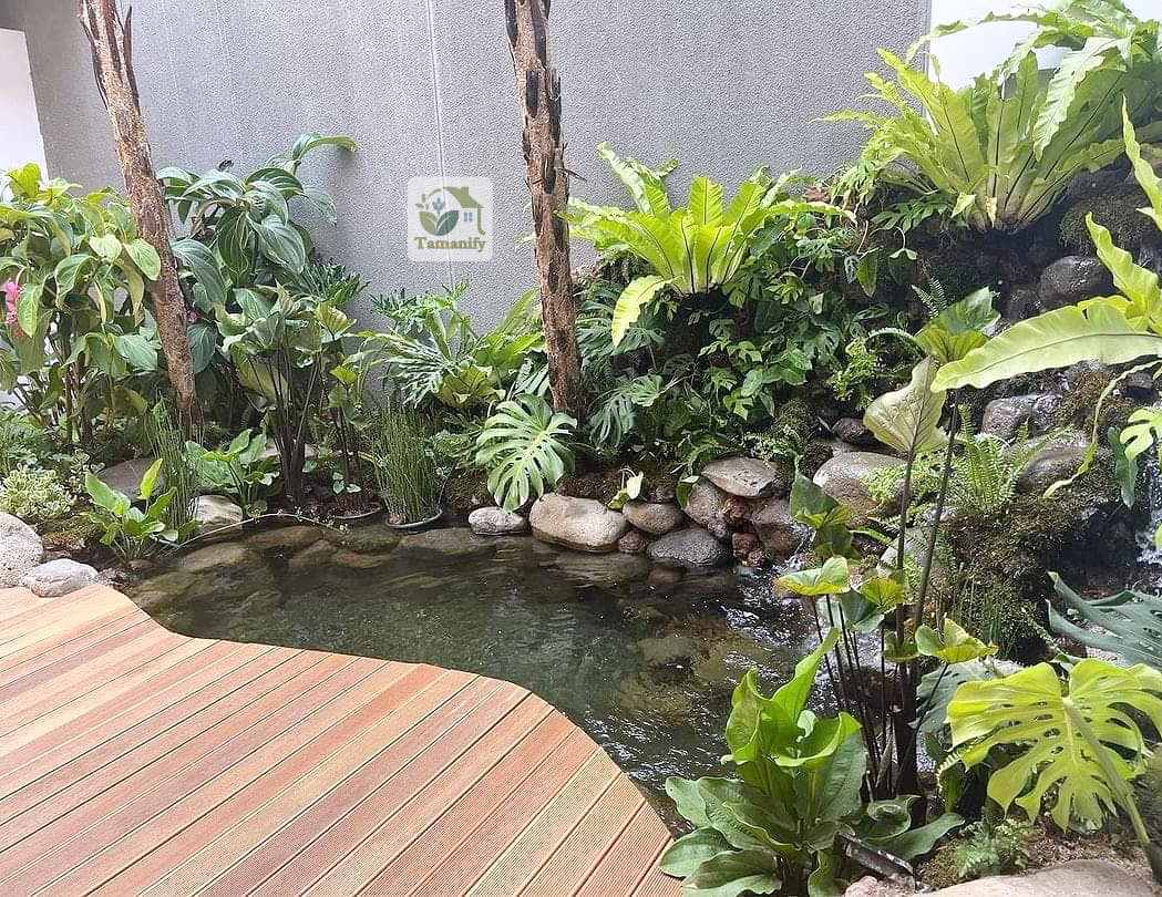 Read more about the article Tukang Kolam Koi Probolinggo Top#1 Jasa Kolam Minimalis