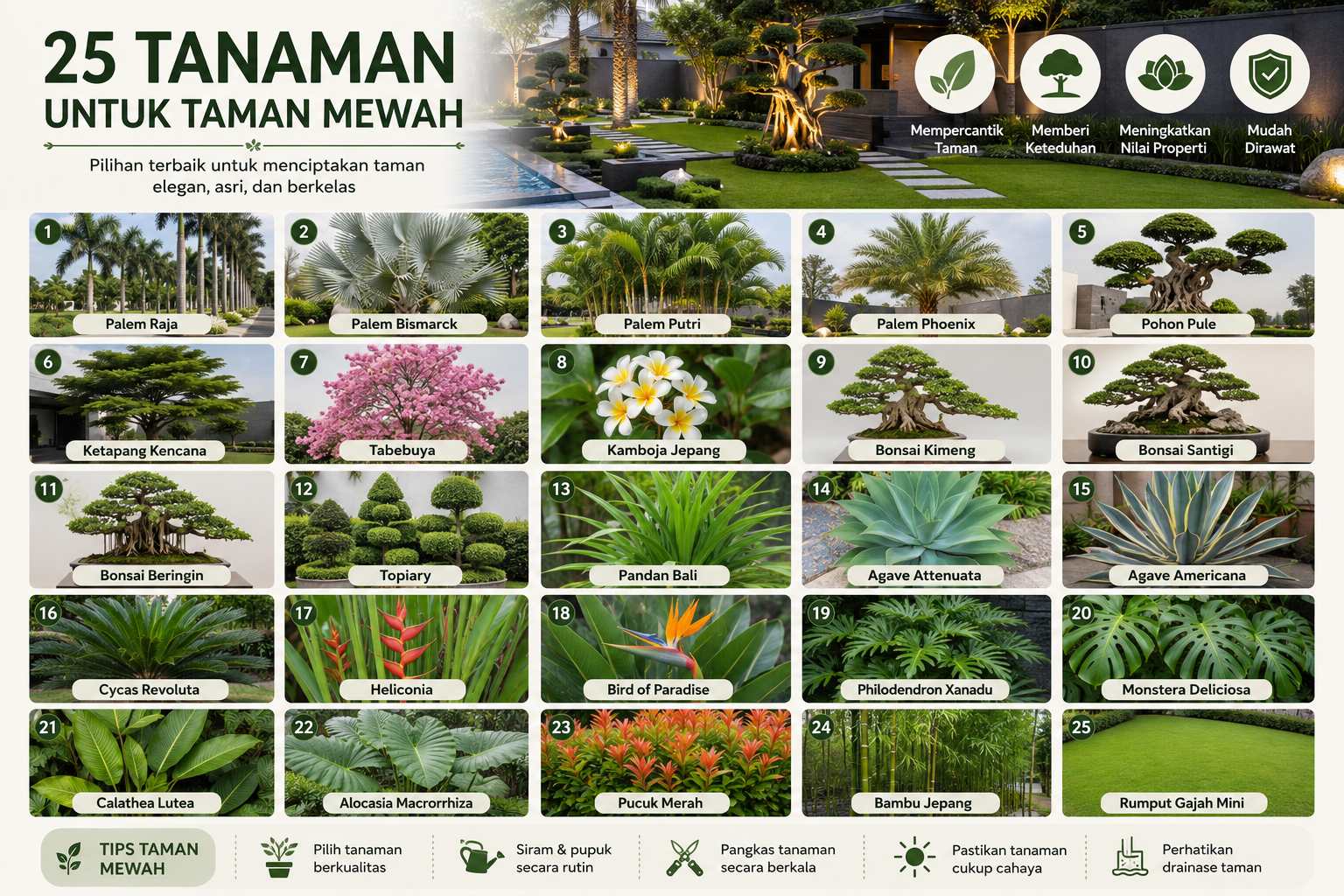 Read more about the article Tanaman untuk Taman Mewah Top 25 Rekomendasi Terbaik